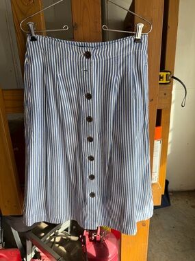Talbots Blue and White Striped A-Line Button-Front Skirt